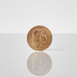 1338 5637 GOLD COIN